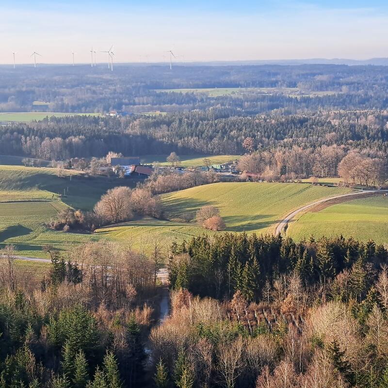 Aussicht vom Altenbergturm