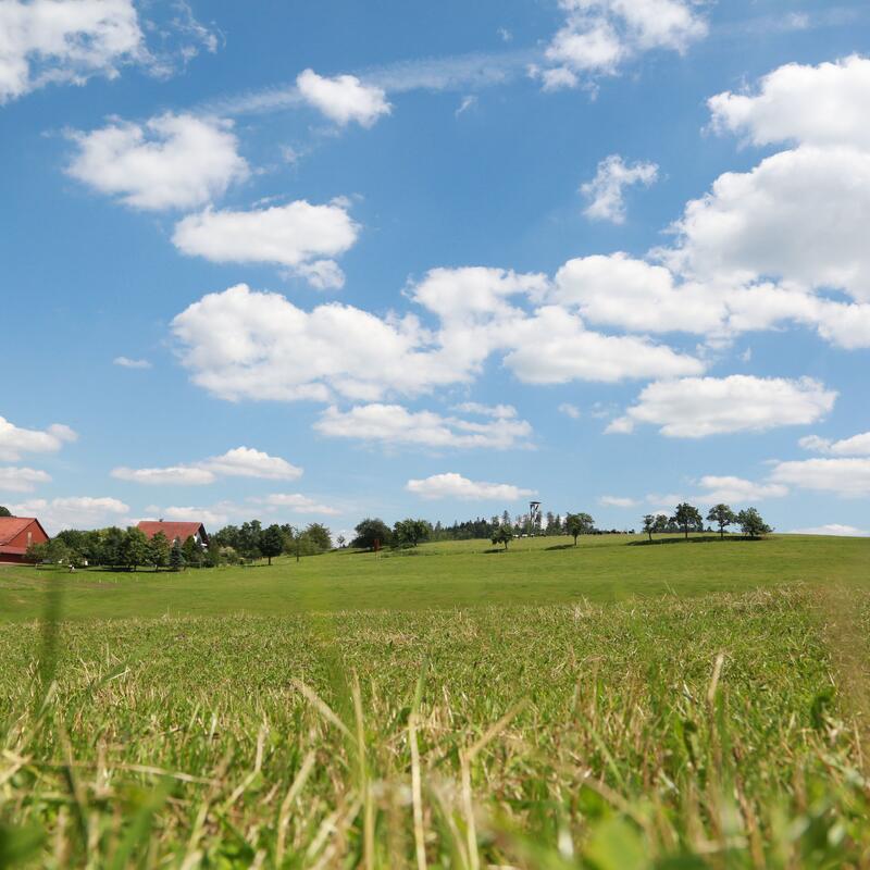 Der Uhlbachhof - Impressionen